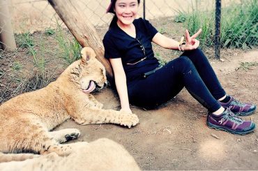 anne loft lion cub 03 ประเทศแอฟริกาใต้