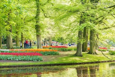 เทศกาลดอกทิวลิปบาน ณ สวนเคอเคนฮอฟ ประเทศเนเธอร์แลนด์ ฤดูใบไม้ผลิ