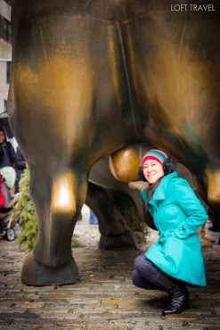วอลล์สตรีทจะมีรูปปั้นกระทิง (bull) ซึ่งเป็นสัญลักษณ์ที่หมายถึงเศรษฐกิจดี