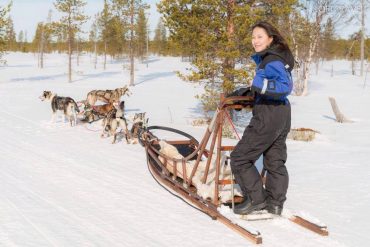 หมาลากเลื่อน ฮัสกี้ สุนัขลากเลื่อน Husky Safari ฟินแลนด์ lapland finland