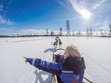 สุนัขลากเลื่อน ตอนที่ 2 dog sled ด้วยความเร็ว 80 กม./ชม. Husky Safari ประเทศฟินแลนด์