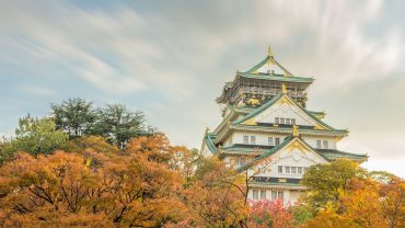 ปราสาทโอซาก้า ใบไม้เปลี่ยนสี Osaka Castle in Autumn