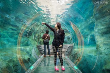 สวนสัตว์อาซาฮิยาม่า asahiyama zoo japan 02