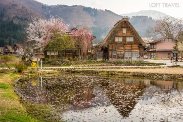 หมู่บ้านชิราคาวาโกะ Shirakawa-go