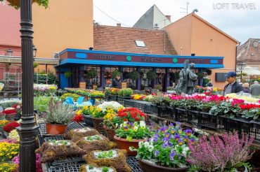 ซาเกร็บ, โครเอเชีย (Dolac Market, Zagreb)